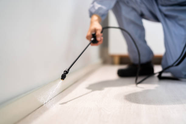 Licensed Fumigation Services service in Clio, AL - Nex Pest Control