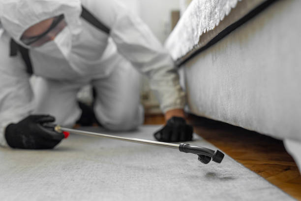 Professional Fumigation Services technician working in Clio, AL