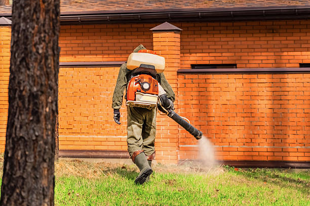 Trusted Cockroach Control service in Clio, AL - Nex Pest Control